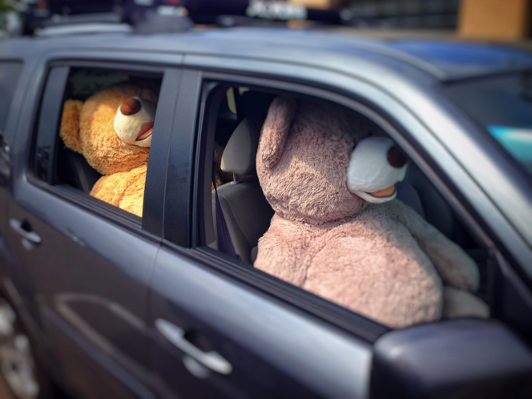 That's my car as I transport home a couple large stuffed animals as Christmas gifts for two of our foster children.