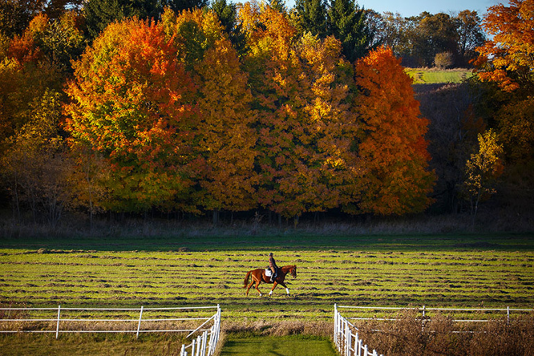 An equestrian rider at a horse farm near Kiel. Wisconsin.